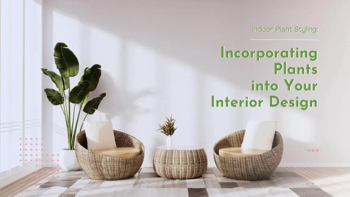 Indoor Plant Styling: Incorporating Plants into Your Interior Design
