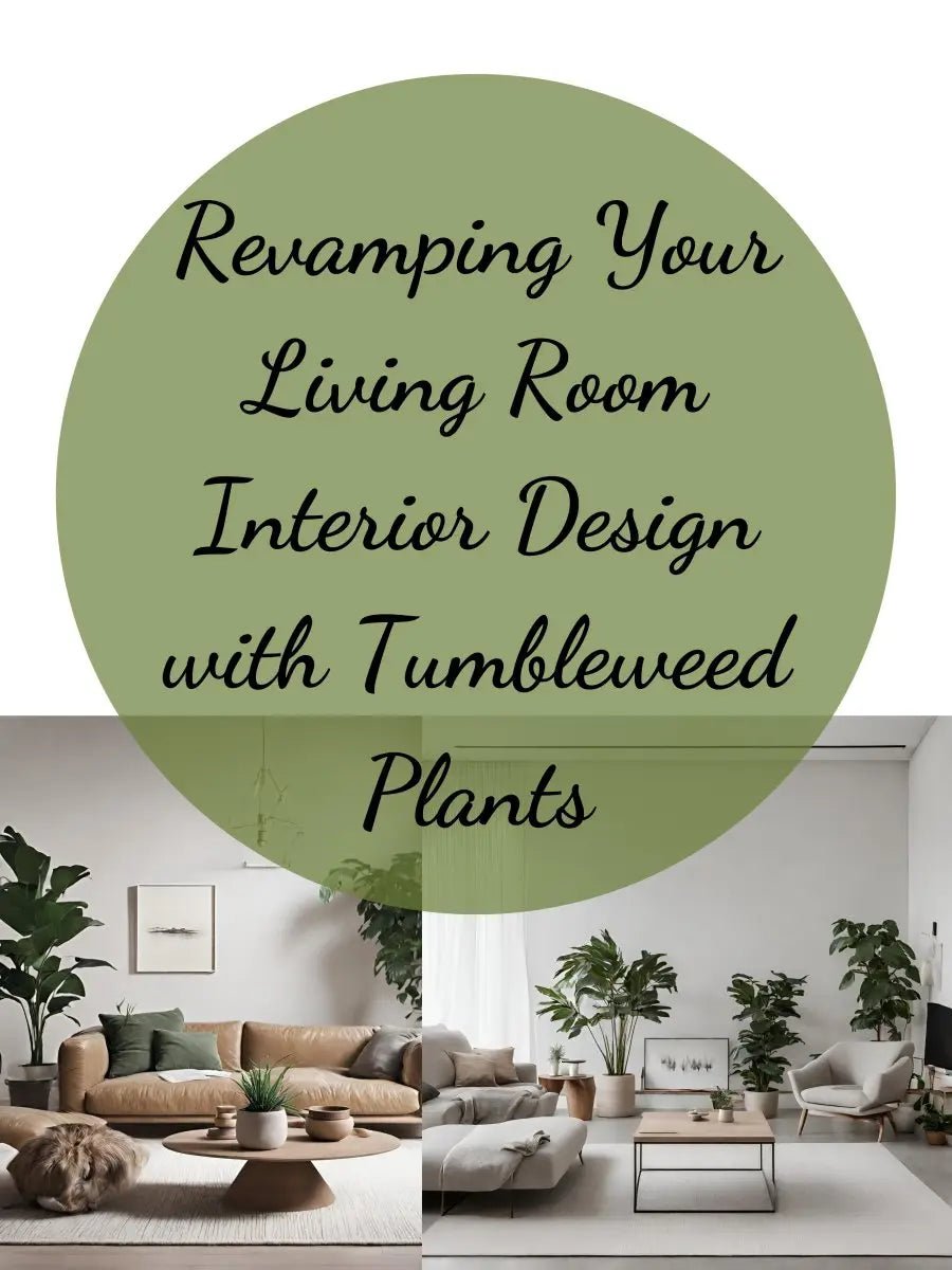 Revamping Your Living Room Interior Design with Tumbleweed Plants