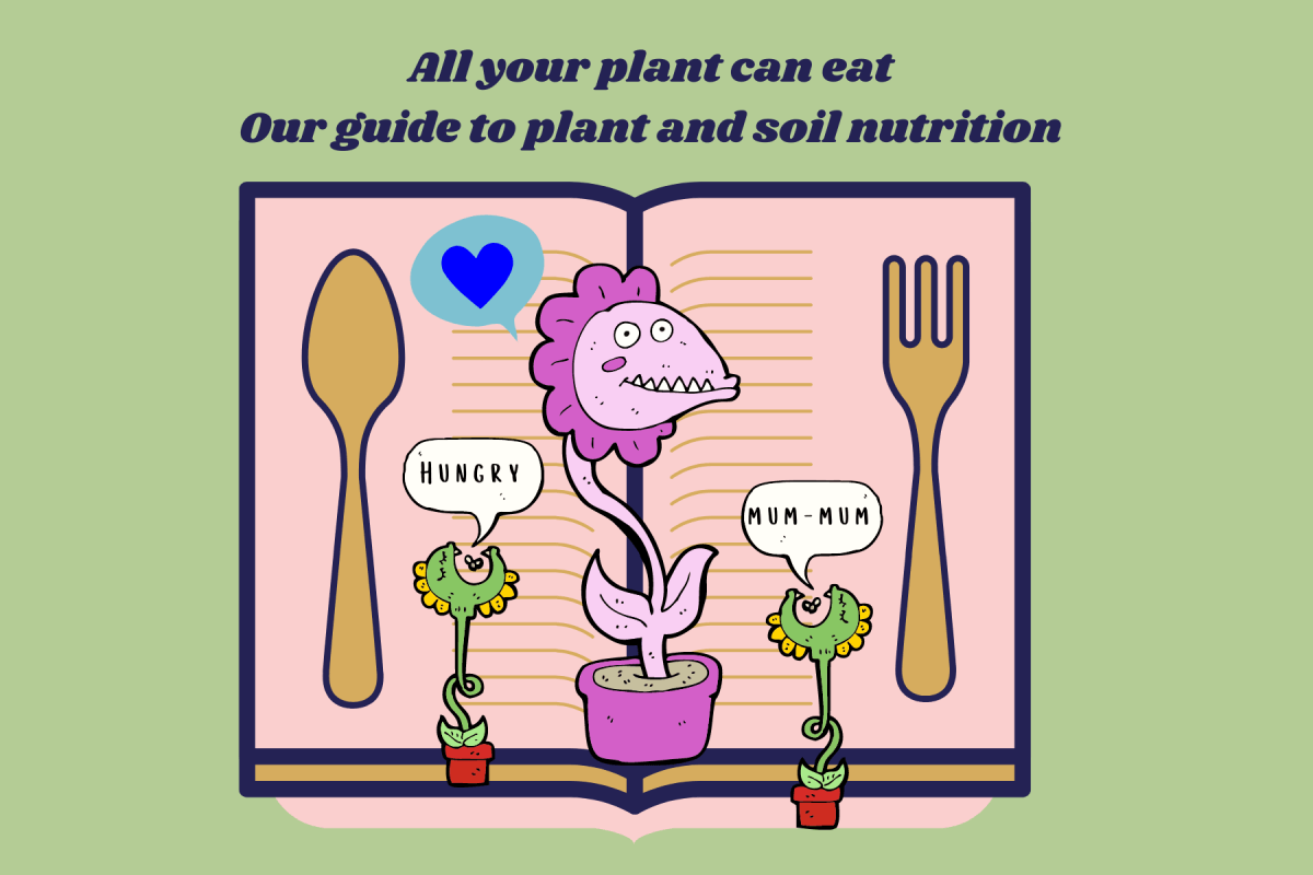 All your plant can eat - our guide to plant and soil nutrition - Tumbleweed Plants