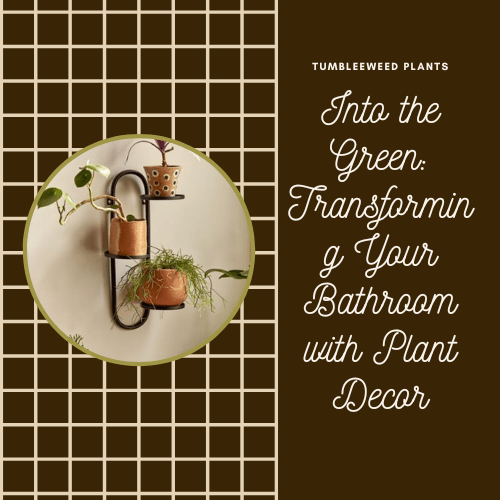 Into the Green: Transforming Your Bathroom with Plant Decor - Tumbleweed Plants