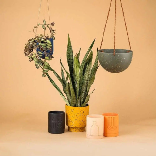 CAPRA DESIGNS - Tumbleweed Plants