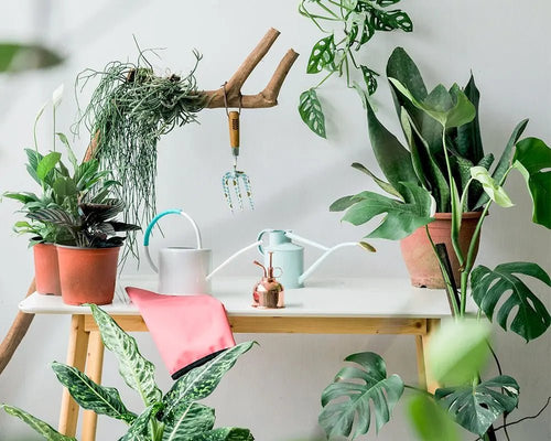 Gardening Tools - Tumbleweed Plants