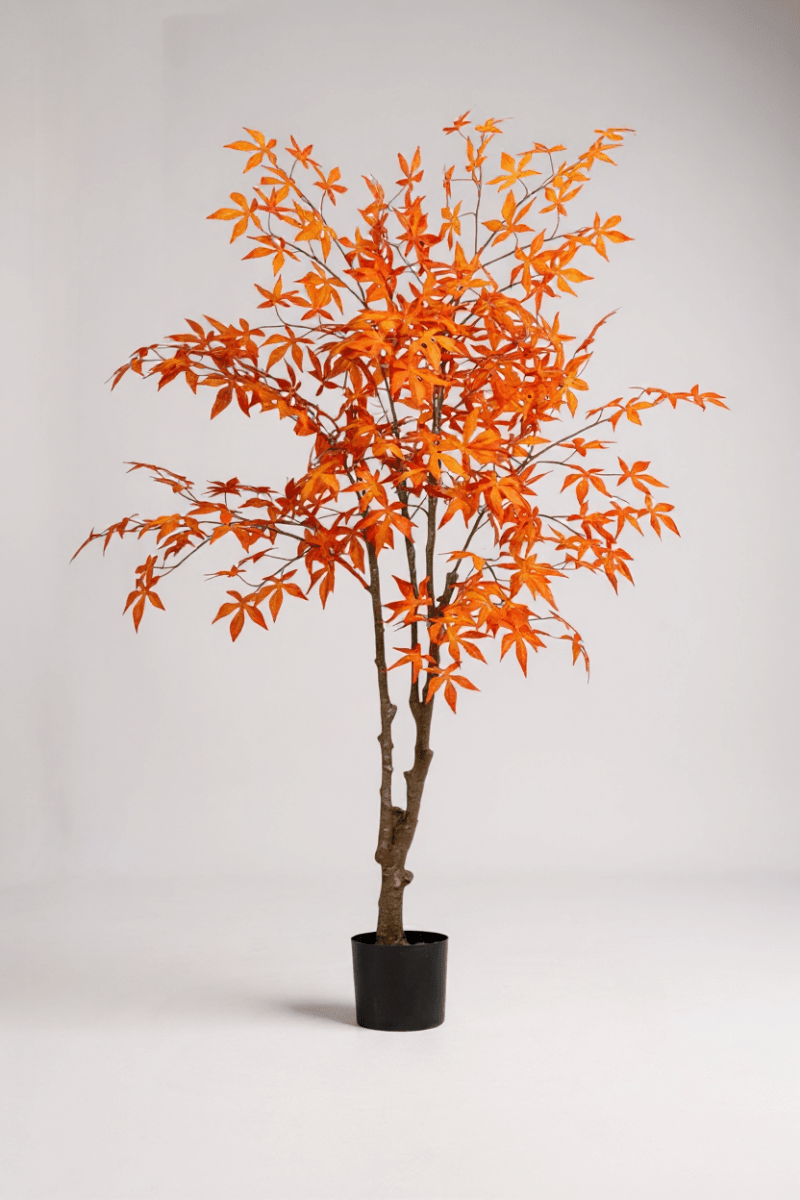 Maple Tree (Life - like Artificial) - Potted plant - 1838465397993508866 - 0 - Tumbleweed Plants - Online Plant Delivery Singapore