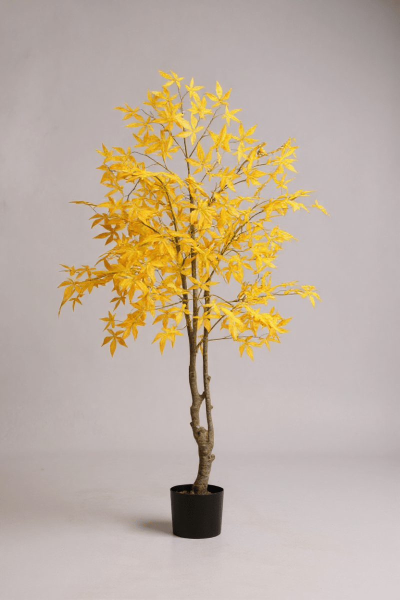 Maple Tree (Life - like Artificial) - Potted plant - 1838465397993508867 - 0 - Tumbleweed Plants - Online Plant Delivery Singapore