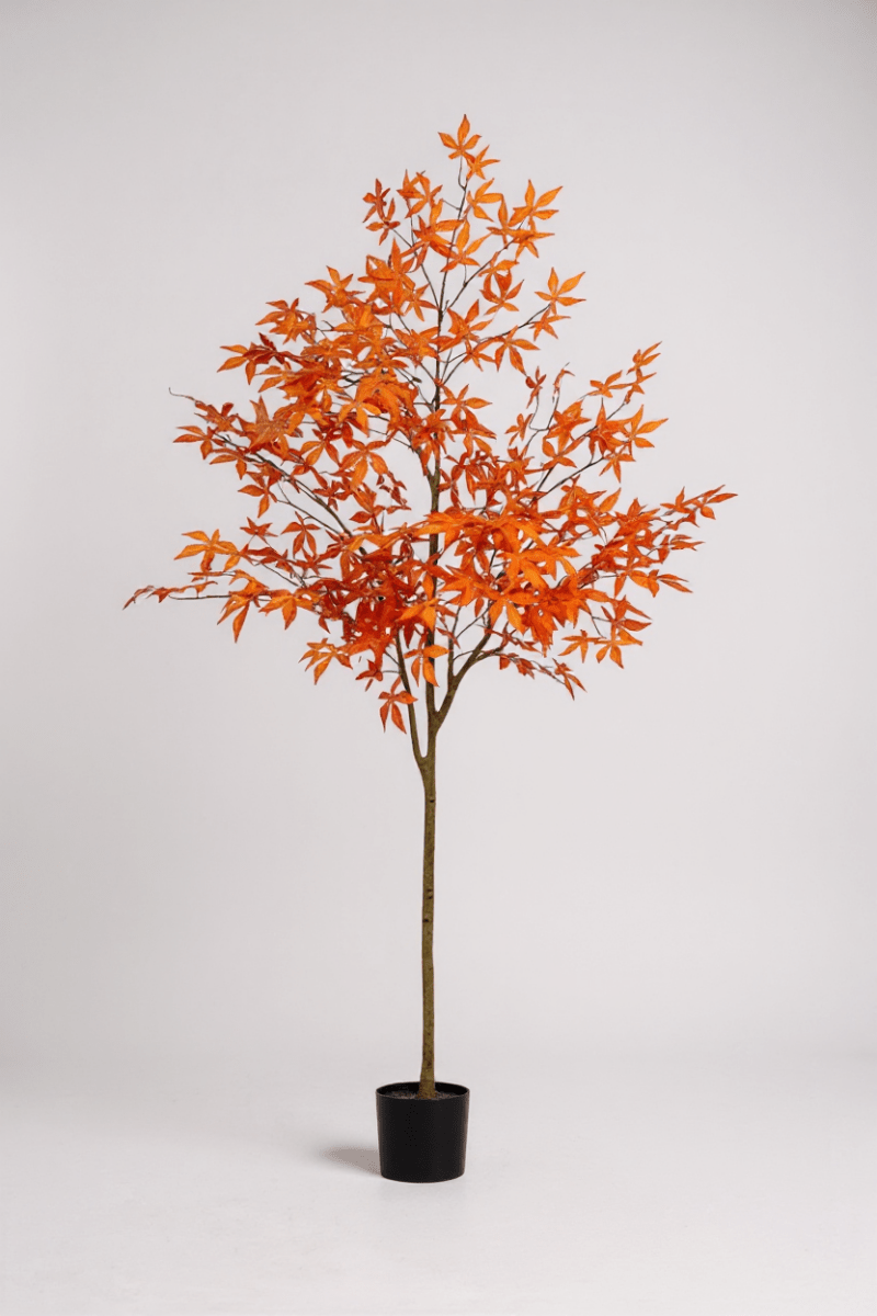 Maple Tree (Life - like Artificial) - Potted plant - 1838465397993508868 - 0 - Tumbleweed Plants - Online Plant Delivery Singapore