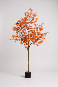 Maple Tree (Life - like Artificial) - Potted plant - 1838465397993508868 - 0 - Tumbleweed Plants - Online Plant Delivery Singapore