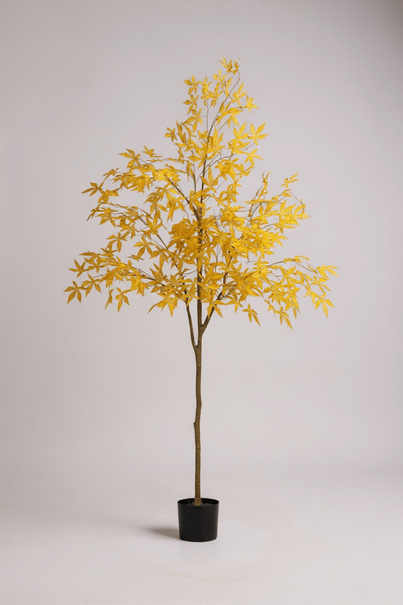 Maple Tree (Life - like Artificial) - Potted plant - 1838465397993508869 - 0 - Tumbleweed Plants - Online Plant Delivery Singapore