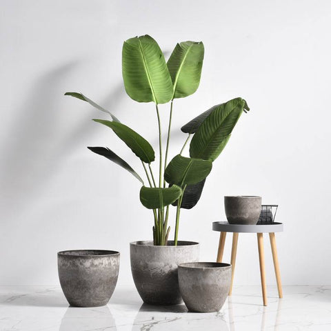 AirStone Egg Pots - Medium - grey / Medium / standard