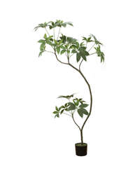 Umbrella Plant (Life-like Artificial) -  -  Tumbleweed Plants