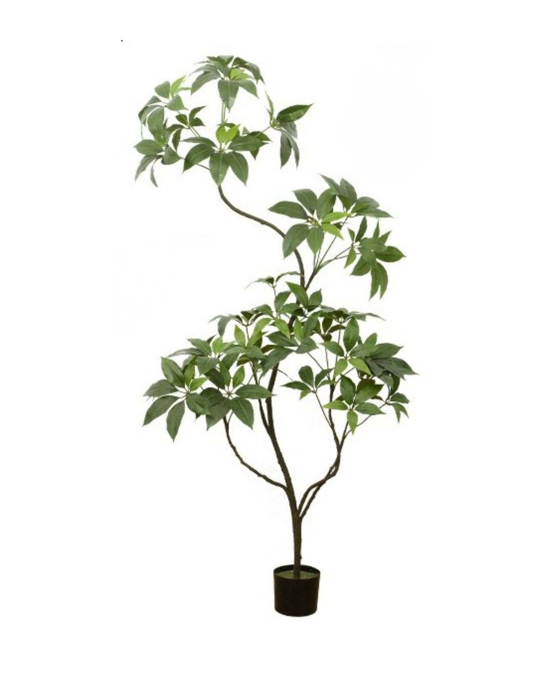 Umbrella Plant (Life-like Artificial) -  -  Tumbleweed Plants