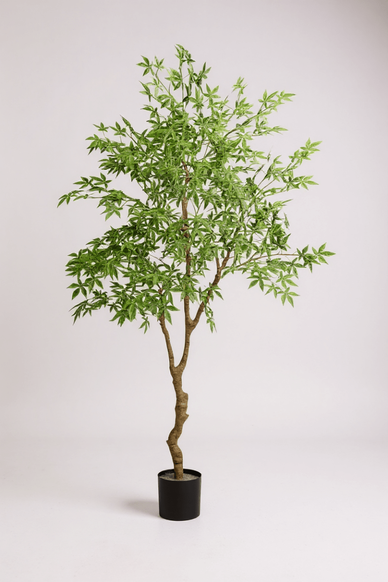 Maple Tree (Life - like Artificial) - Potted plant - 1838465397993508872 - 0 - Tumbleweed Plants - Online Plant Delivery Singapore