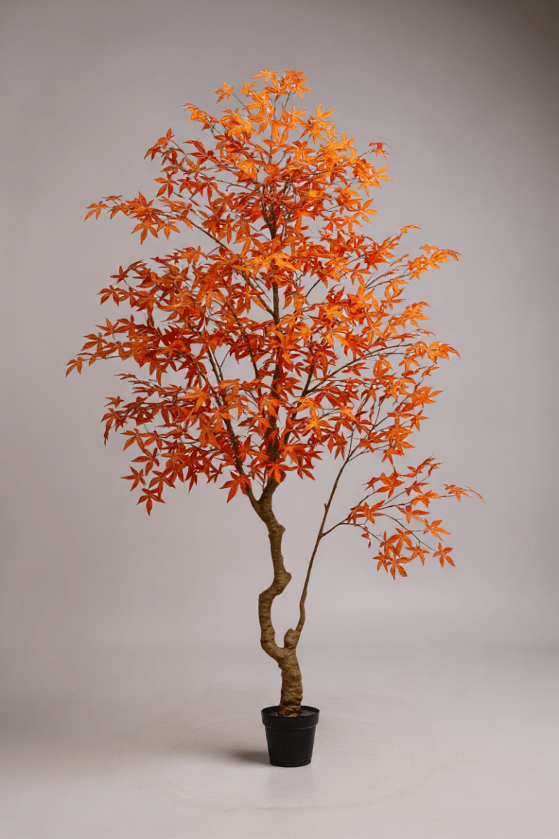 Maple Tree (Life - like Artificial) - Potted plant - 1838465397993508873 - 0 - Tumbleweed Plants - Online Plant Delivery Singapore