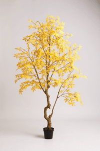 Maple Tree (Life - like Artificial) - Potted plant - 1838465397993508874 - 0 - Tumbleweed Plants - Online Plant Delivery Singapore