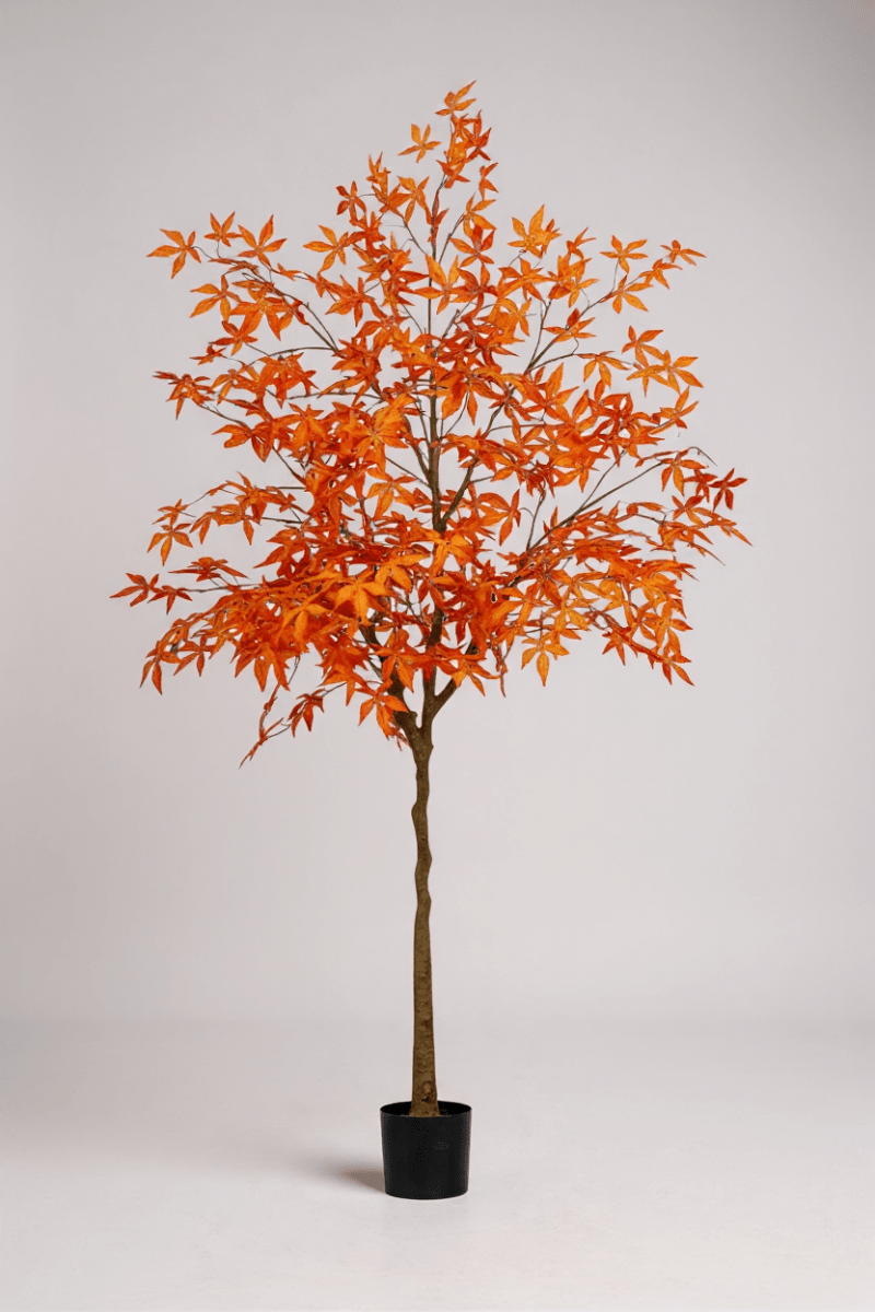 Maple Tree (Life - like Artificial) - Potted plant - 1838465397993508870 - 0 - Tumbleweed Plants - Online Plant Delivery Singapore