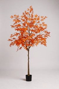 Maple Tree (Life - like Artificial) - Potted plant - 1838465397993508870 - 0 - Tumbleweed Plants - Online Plant Delivery Singapore
