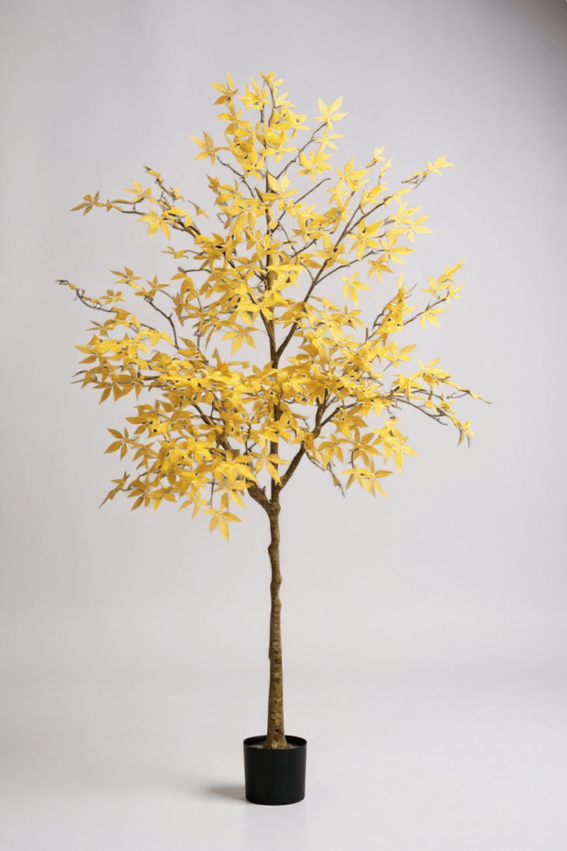 Maple Tree (Life - like Artificial) - Potted plant - 1838465397993508871 - 0 - Tumbleweed Plants - Online Plant Delivery Singapore