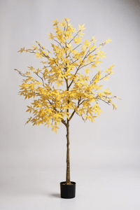 Maple Tree (Life - like Artificial) - Potted plant - 1838465397993508871 - 0 - Tumbleweed Plants - Online Plant Delivery Singapore