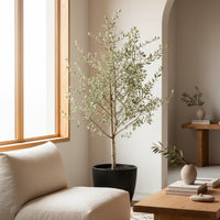 Leucophyllum Frutescens – Texas Sage / Silver Bush