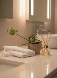 Sweetheart Hoya - Potted plant -  Tumbleweed Plants