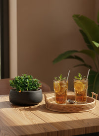 Goldfish Plant - Nematanthus - Potted plant -  Tumbleweed Plants