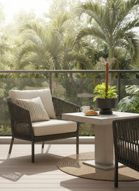 Marble Queen Plant 0.3m