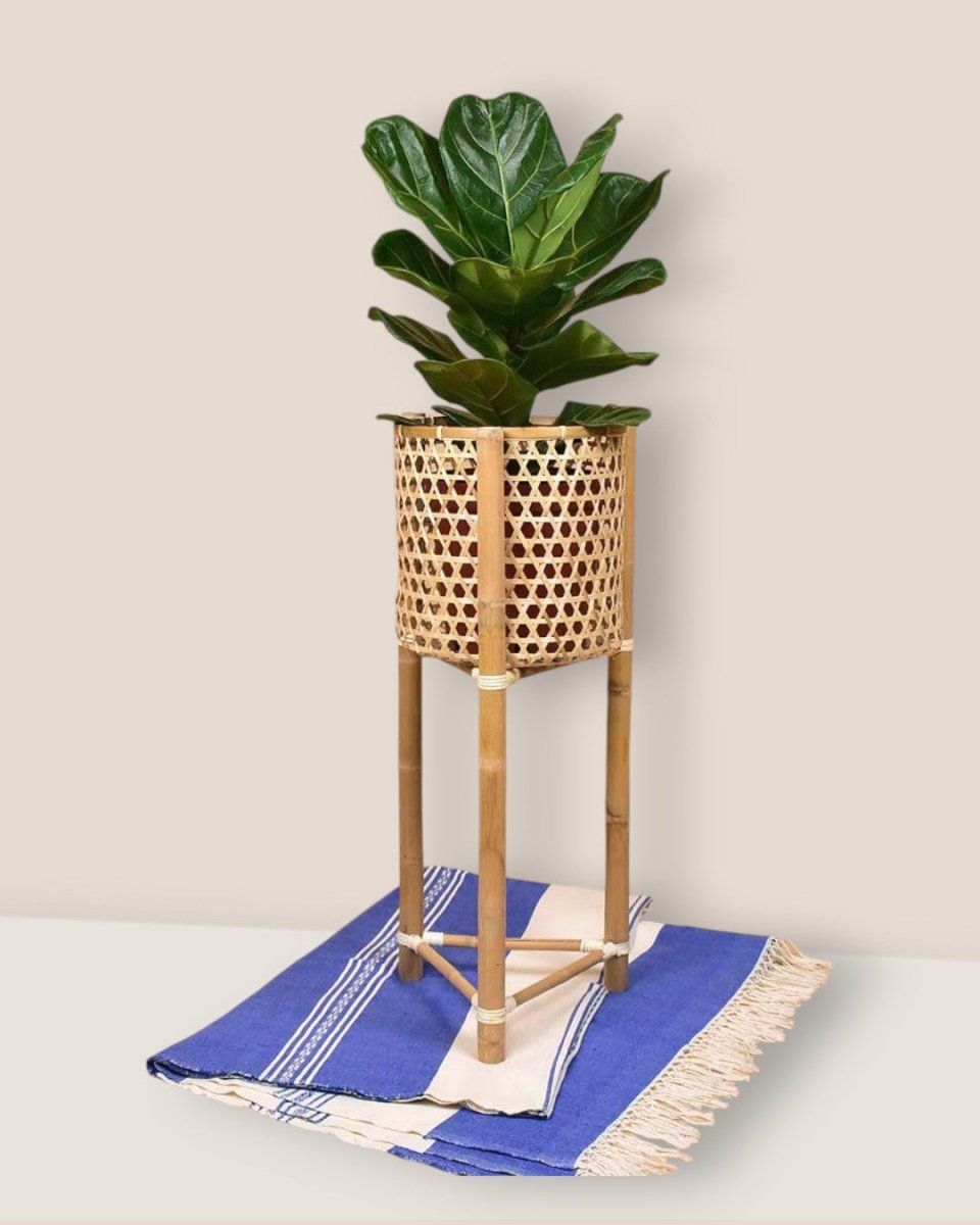 bamboo plant pot stand Bamboo Stands