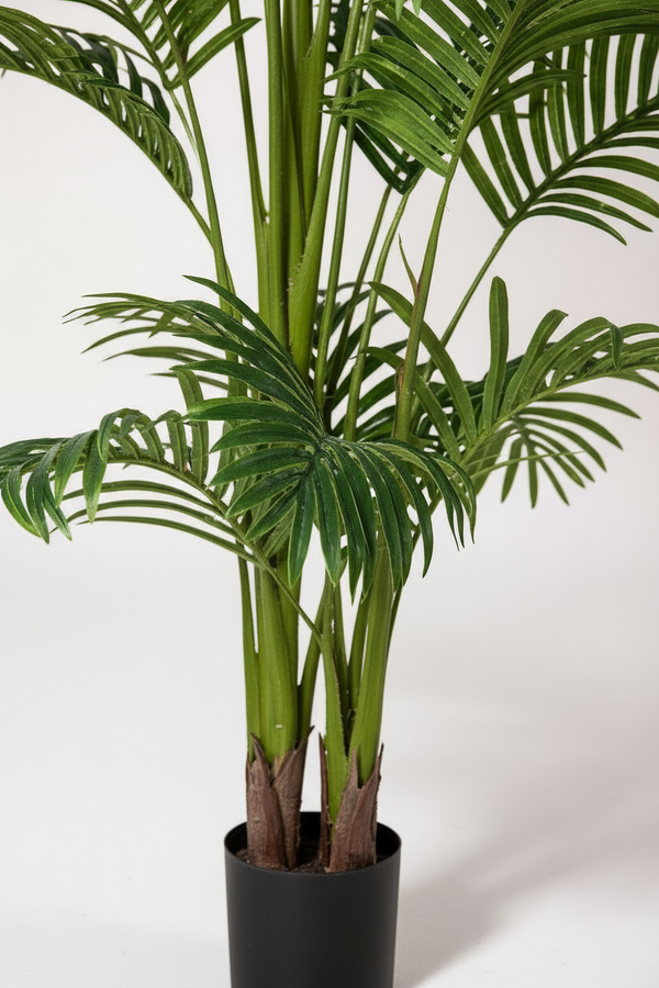 Bamboo Palm (Life-life Artificial) - Potted plant -  Tumbleweed Plants