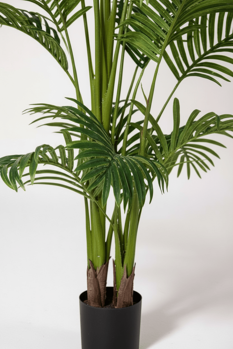 Bamboo Palm (Life-life Artificial) - Potted plant - 5004438217559 - Tumbleweed Plants - Online Plant Delivery Singapore