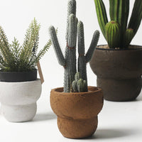 Belly Pot - Small - Planter - 6028587279201 - Tumbleweed Plants - Online Plant Delivery Singapore