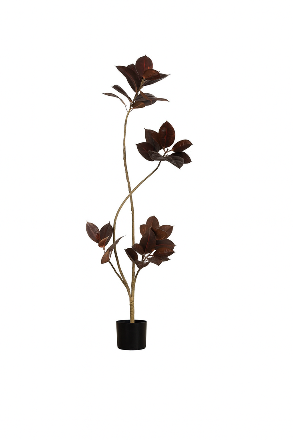 Black Diamond Rubber Tree (Life-like Artificial) - Potted plant -  Tumbleweed Plants
