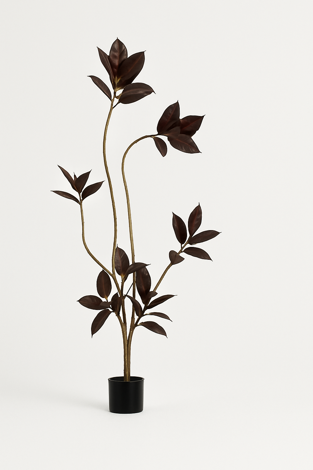 Black Diamond Rubber Tree (Life-like Artificial) - Potted plant -  Tumbleweed Plants