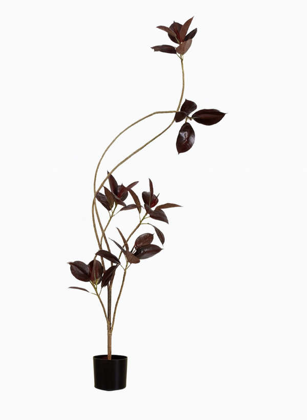 Black Diamond Rubber Tree (Life-like Artificial) - Potted plant -  Tumbleweed Plants