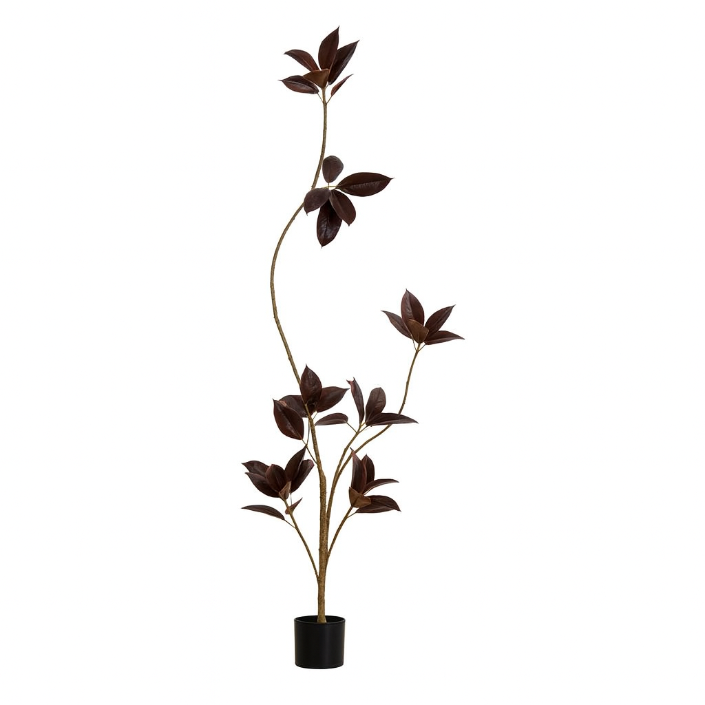 Black Diamond Rubber Tree (Life-like Artificial) - Potted plant -  Tumbleweed Plants