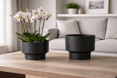 Vela Rise Pot - Large