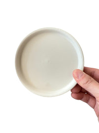 Coloured Trays - Tray - TRAY - COLO - WHTCM - 7439 - Tumbleweed Plants - Online Plant Delivery Singapore