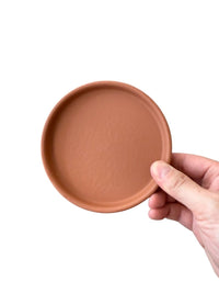 Coloured Trays - Tray - TRAY - COLO - CMCFF - 7443 - Tumbleweed Plants - Online Plant Delivery Singapore