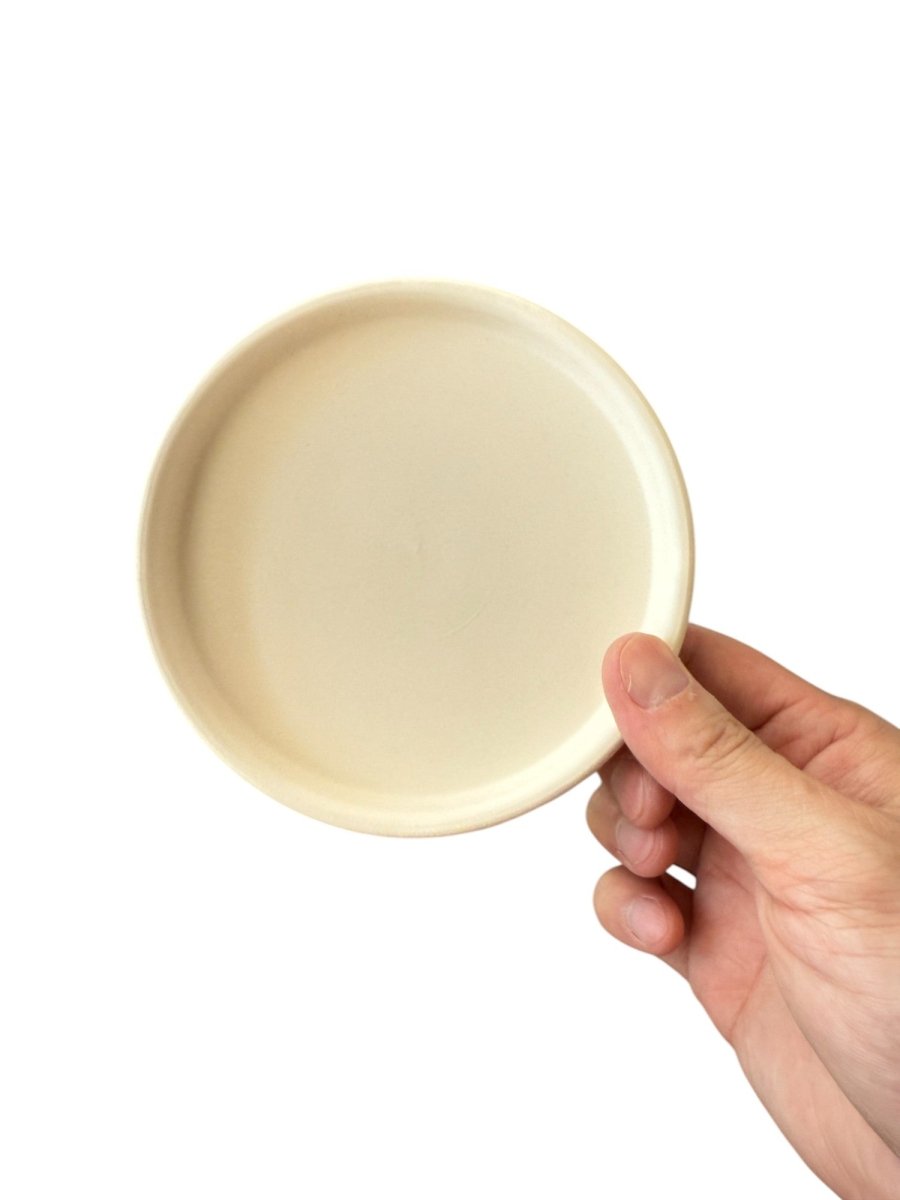 Coloured Trays - Tray - TRAY - COLO - CMCRM - 7442 - Tumbleweed Plants - Online Plant Delivery Singapore