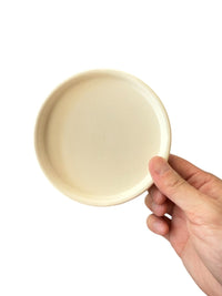 Coloured Trays - Tray - TRAY - COLO - CMCRM - 7442 - Tumbleweed Plants - Online Plant Delivery Singapore