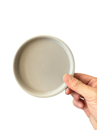 Coloured Trays - Tray - TRAY - COLO - CMGRY - 7444 - Tumbleweed Plants - Online Plant Delivery Singapore