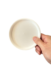 Coloured Trays - Tray - TRAY - COLO - CMSND - 7445 - Tumbleweed Plants - Online Plant Delivery Singapore