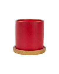 Cyra - Pot - Tumbleweed Plants - Online Plant Delivery Singapore