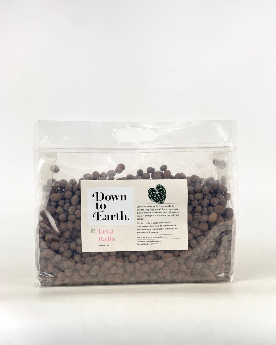 Down To Earth. Leca Balls 05 - Leca balls - Tumbleweed Plants - Online Plant Delivery Singapore