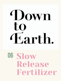Down To Earth. Slow Release Fertilizer 06 - Potting mix - Tumbleweed Plants - Online Plant Delivery Singapore