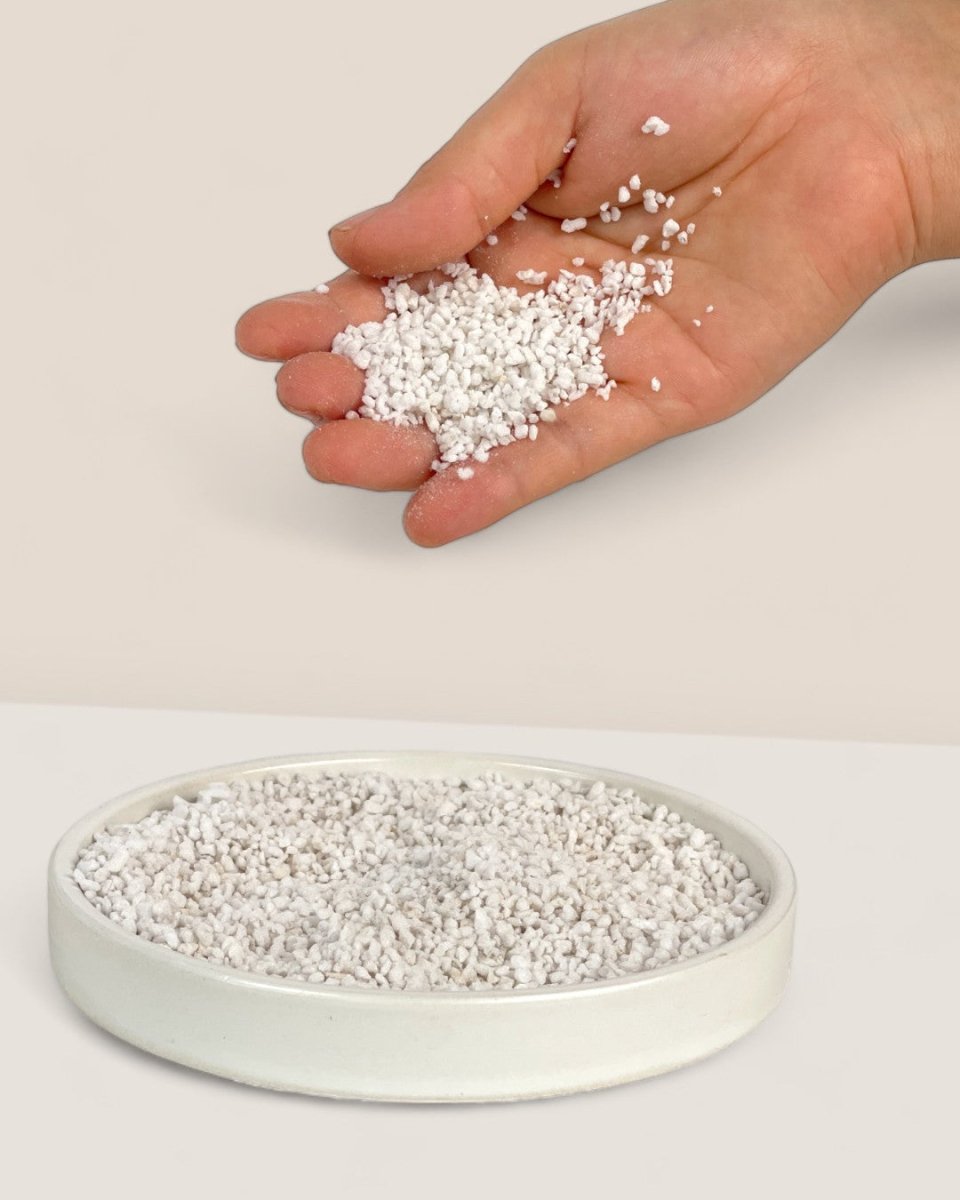 Down To Earth. Perlite 10 - Potting mix - Tumbleweed Plants - Online Plant Delivery Singapore