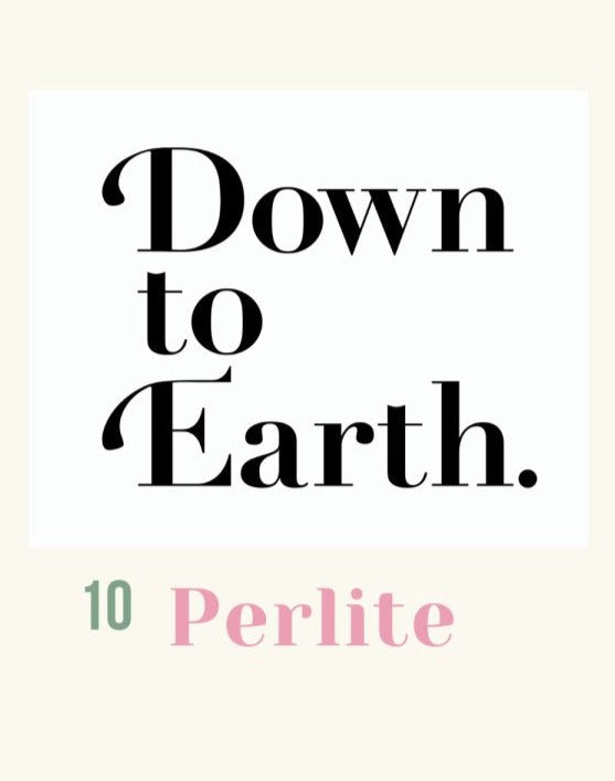 Down To Earth. Perlite 10 - Potting mix - Tumbleweed Plants - Online Plant Delivery Singapore
