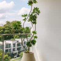 Dwarf Umbrella Tree (Life-like Artificial)
