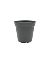 Essential Plastic Pot - Medium