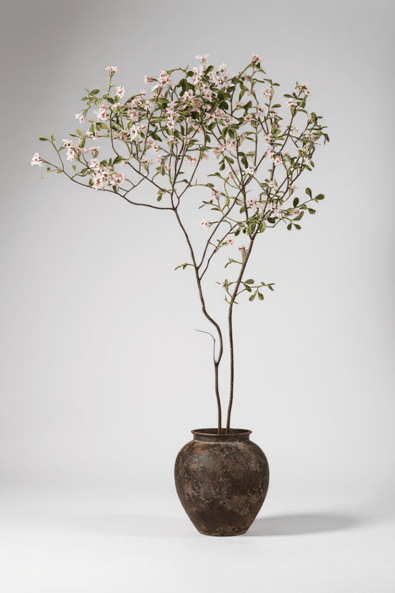 Island Tree - Real - Trunk Artificial - Potted plant - 5516314535781 - Tumbleweed Plants - Online Plant Delivery Singapore