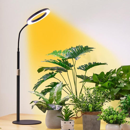 HALO Table Plant Lights - Plant Lights - 5653683746981 - Tumbleweed Plants - Online Plant Delivery Singapore