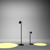 Helio Plant Lights - Plant Lights - ACCE - ADJU - 5594 - Tumbleweed Plants - Online Plant Delivery Singapore